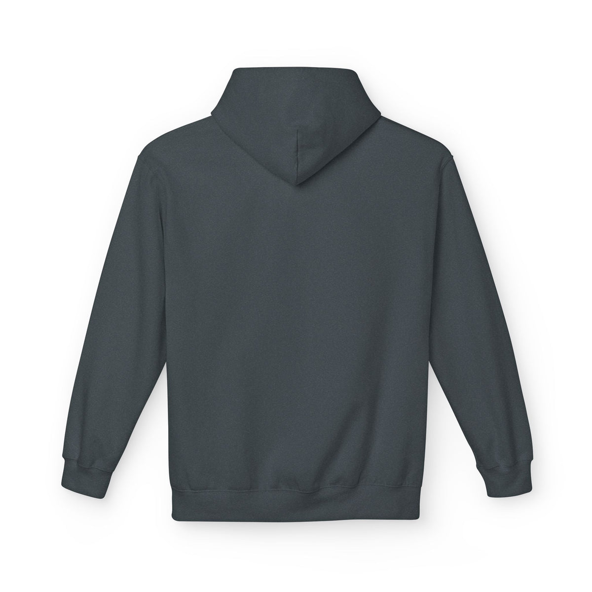 Jesus King Hoodie — Crowned Faith Christian Pullover